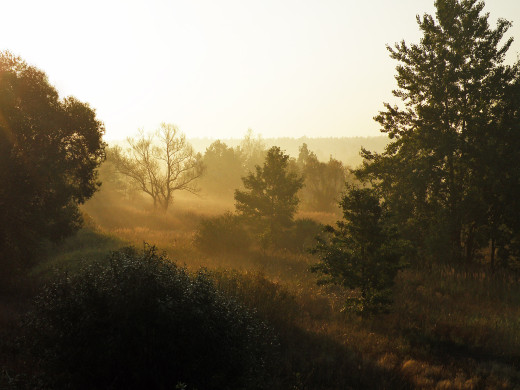 37683 (a): :1600x1200